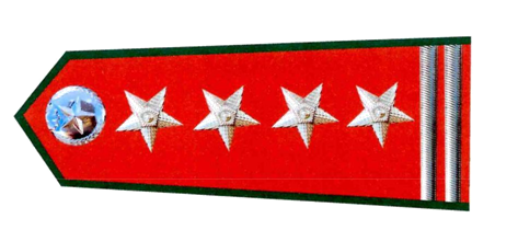 A red and green banner with stars

Description automatically generated