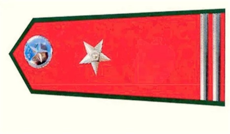 A red and green flag with a white star

Description automatically generated