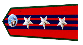 A red and blue flag with stars

Description automatically generated