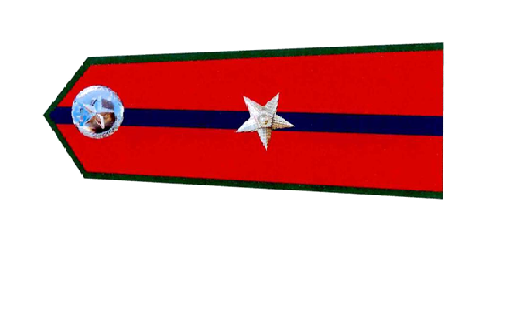 A red and blue banner with a star and a silver star

Description automatically generated